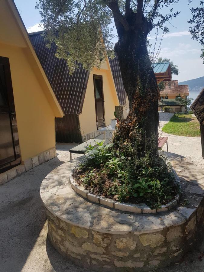 Apartments And Bungalows Mimoza Baosici Herceg Novi Esterno foto